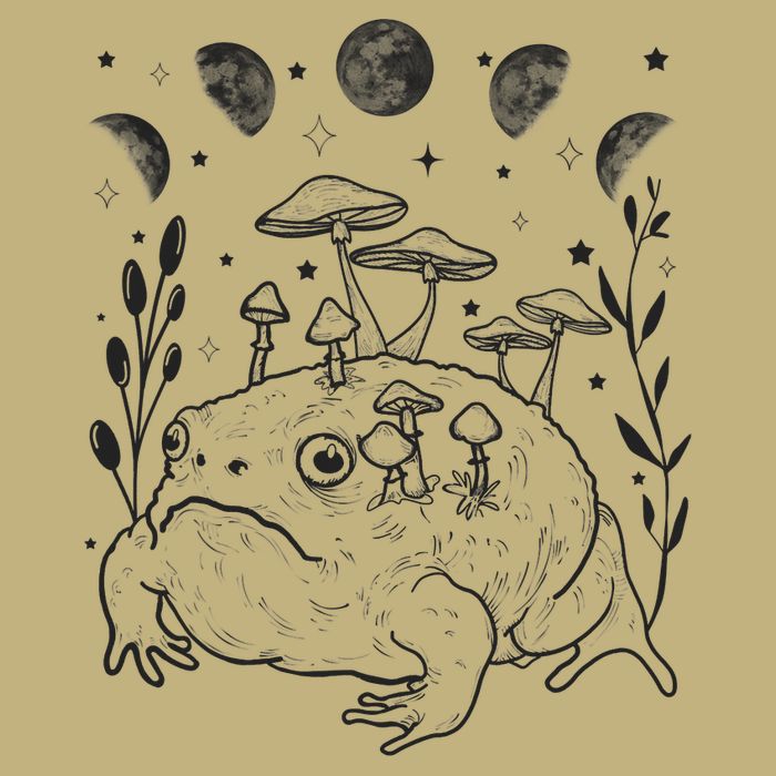 Dark Academia Moon Witchy Goblincore Aesthetic Frog T-Shirt