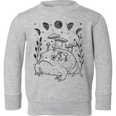 Dark Academia Moon Witchy Goblincore Aesthetic Frog Toddler Sweatshirt