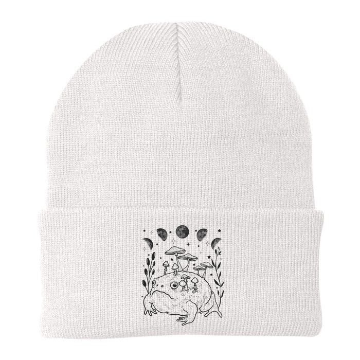 Dark Academia Moon Witchy Goblincore Aesthetic Frog Beanie