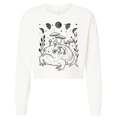 Dark Academia Moon Witchy Goblincore Aesthetic Frog Cropped Pullover Crew