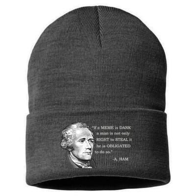 Dank Memes Alexander Hamilton A. Ham Quote Sustainable Knit Beanie