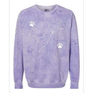 Dog And People Punch Hand Dog Friendship Fist Bump Dogs Paw Colorblast Crewneck Sweatshirt