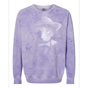 Dapper Cat Colorblast Crewneck Sweatshirt