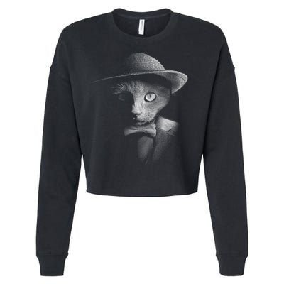 Dapper Cat Cropped Pullover Crew