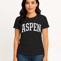 Distressed Aspen , Retro Aspen Womens T-Shirt