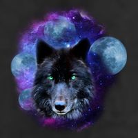 Dark Moon Wolf Galaxy Adult Drive Performance Visor