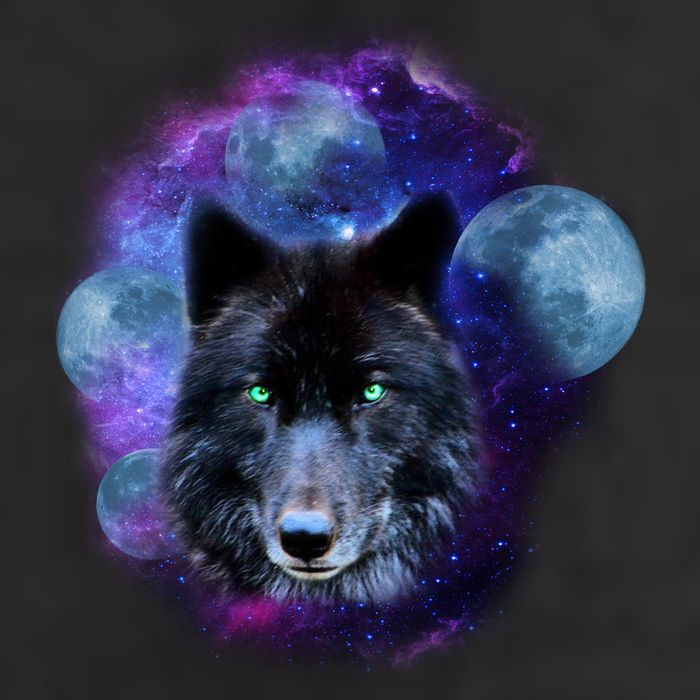 Dark Moon Wolf Galaxy Adult Drive Performance Visor
