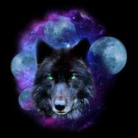 Dark Moon Wolf Galaxy 16 in Basic Backpack