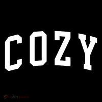 Dan And Shay Cozy T-Shirt