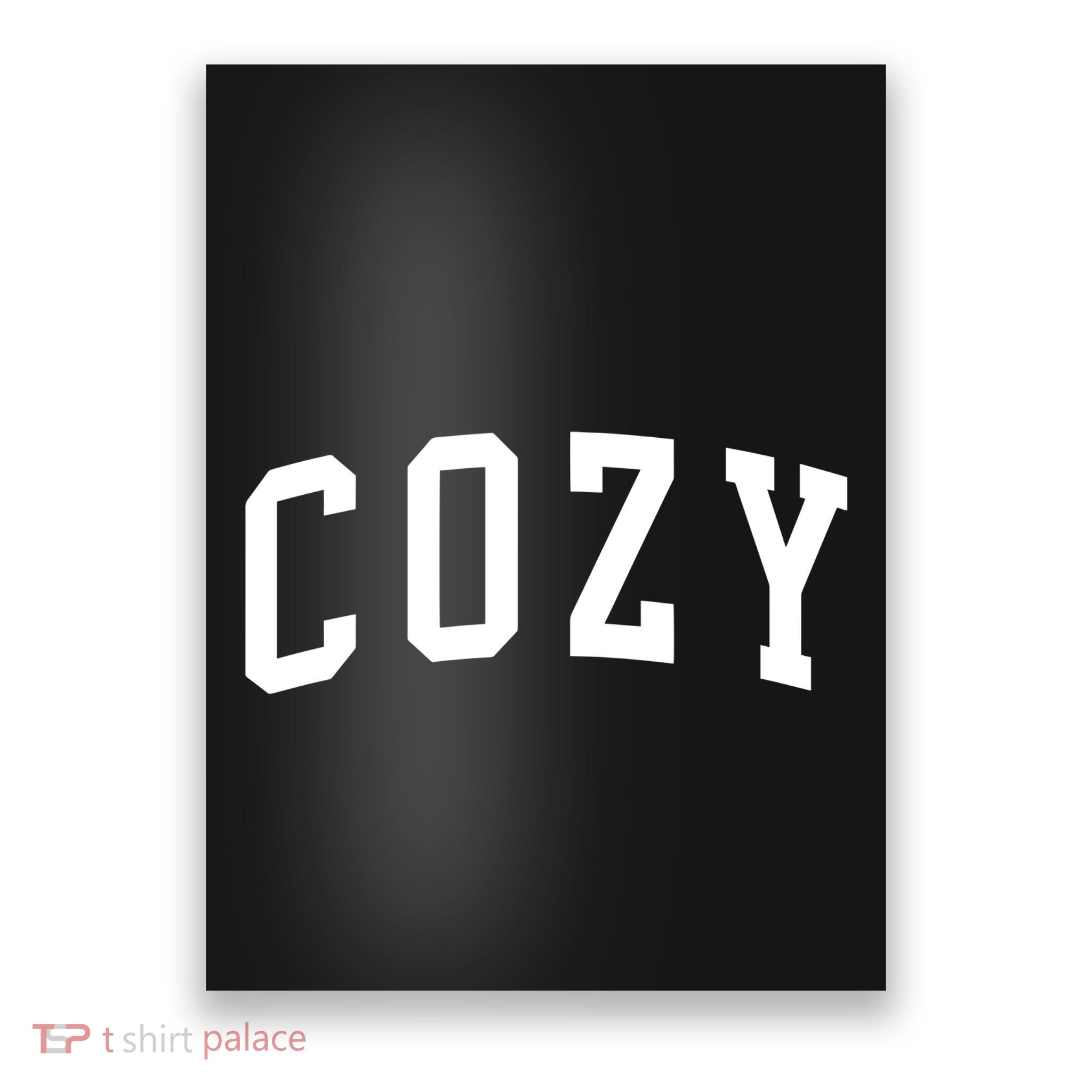 Dan And Shay Cozy Poster