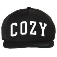 Dan And Shay Cozy Wool Snapback Cap