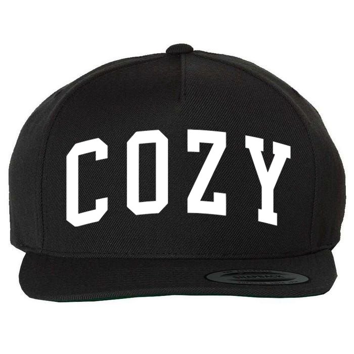 Dan And Shay Cozy Wool Snapback Cap