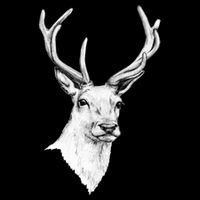 Deer Antlers Stag Head Womens T-Shirt