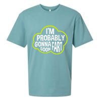 Don't Approach Sarcasm I'm Probably Gonna Fart Soon Funny Sueded Cloud Jersey T-Shirt