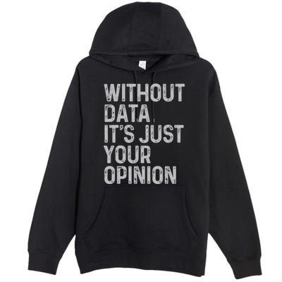Data Analyst Statistic Statistician Funny Data Engineer Nerd Premium Pullover Hoodie