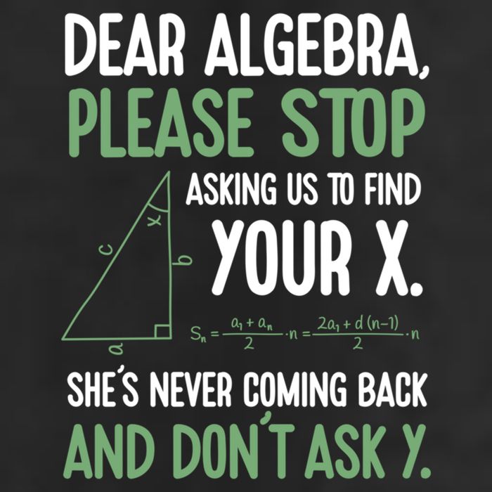 Dear Algebra Stop Asking Me To Find Your X Maths Joke Gift 7 Panel Mesh Trucker Snapback Hat