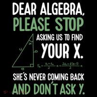 Dear Algebra Stop Asking Me To Find Your X Maths Joke Gift Flexfit Unipanel Trucker Cap