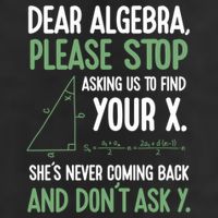Dear Algebra Stop Asking Me To Find Your X Maths Joke Gift Large Microfiber Waffle Golf Towel