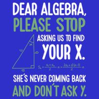 Dear Algebra Stop Asking Me To Find Your X Maths Joke Gift Sustainable Beanie