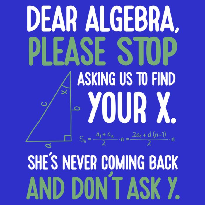 Dear Algebra Stop Asking Me To Find Your X Maths Joke Gift Sustainable Beanie