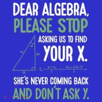 Dear Algebra Stop Asking Me To Find Your X Maths Joke Gift Toddler Sweatshirt