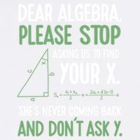 Dear Algebra Stop Asking Me To Find Your X Maths Joke Gift Garment-Dyed Sweatshirt