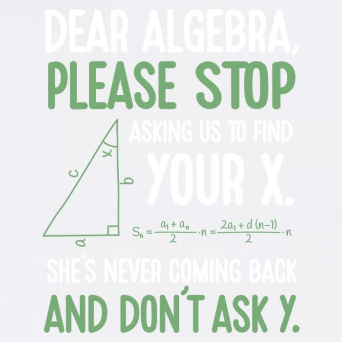 Dear Algebra Stop Asking Me To Find Your X Maths Joke Gift Garment-Dyed Sweatshirt