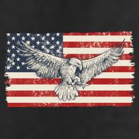 Distressed American USA Flag Eagle 7 Panel Mesh Trucker Snapback Hat