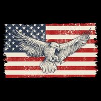 Distressed American USA Flag Eagle Flatbill Hat