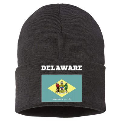 Delaware American Usa Top Travel Flag Gift Sustainable Knit Beanie