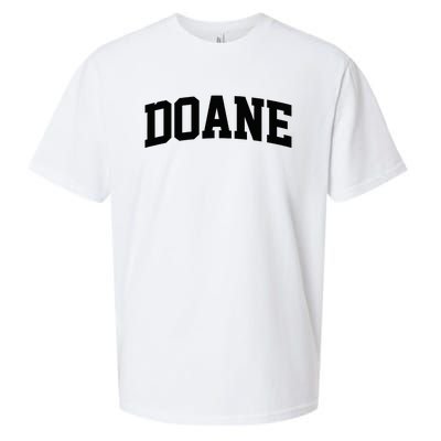 Doane Arch Vintage College Athletic Sport Sueded Cloud Jersey T-Shirt