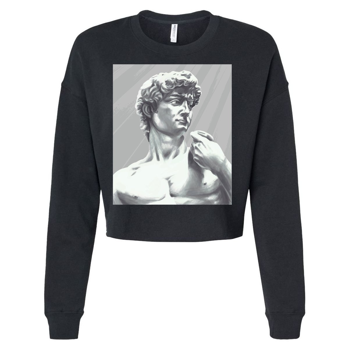 David Statue Cropped Pullover Crew