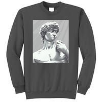 David Statue Tall Sweatshirt