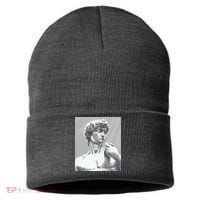 David Statue Sustainable Knit Beanie