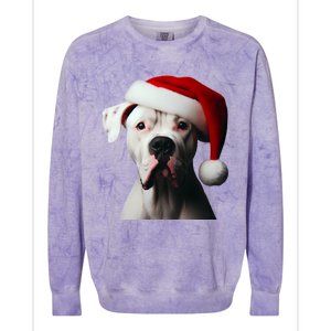 Dogo Argentino With Santa Hat Christmas Dog Owner Lover Mom Great Gift Colorblast Crewneck Sweatshirt