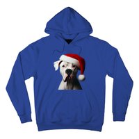 Dogo Argentino With Santa Hat Christmas Dog Owner Lover Mom Great Gift Hoodie