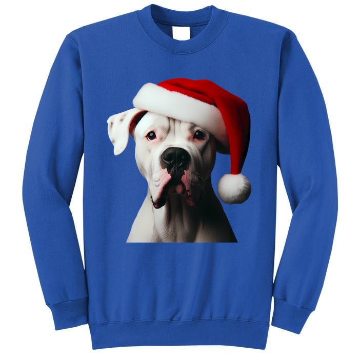 Dogo Argentino With Santa Hat Christmas Dog Owner Lover Mom Great Gift Sweatshirt