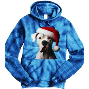 Dogo Argentino With Santa Hat Christmas Dog Owner Lover Mom Great Gift Tie Dye Hoodie