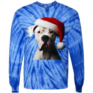 Dogo Argentino With Santa Hat Christmas Dog Owner Lover Mom Great Gift Tie-Dye Long Sleeve Shirt