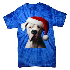 Dogo Argentino With Santa Hat Christmas Dog Owner Lover Mom Great Gift Tie-Dye T-Shirt