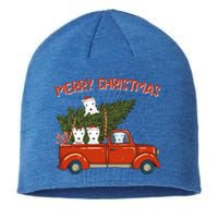 Dogo Argentino Xmas Vintage Red Pickup Meaningful Gift Sustainable Beanie