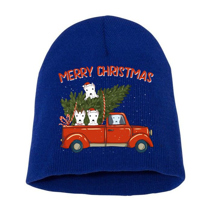 Dogo Argentino Xmas Vintage Red Pickup Meaningful Gift Short Acrylic Beanie