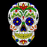 Day of the Dead Skull dia de los Muertos Flatbill Hat