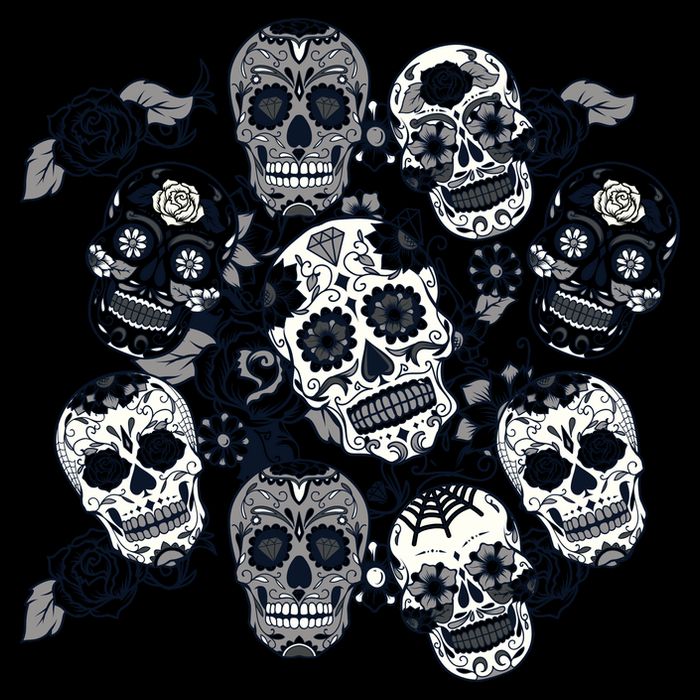 Day Of The Dead Skull Mash Up Cropped Pullover Crew