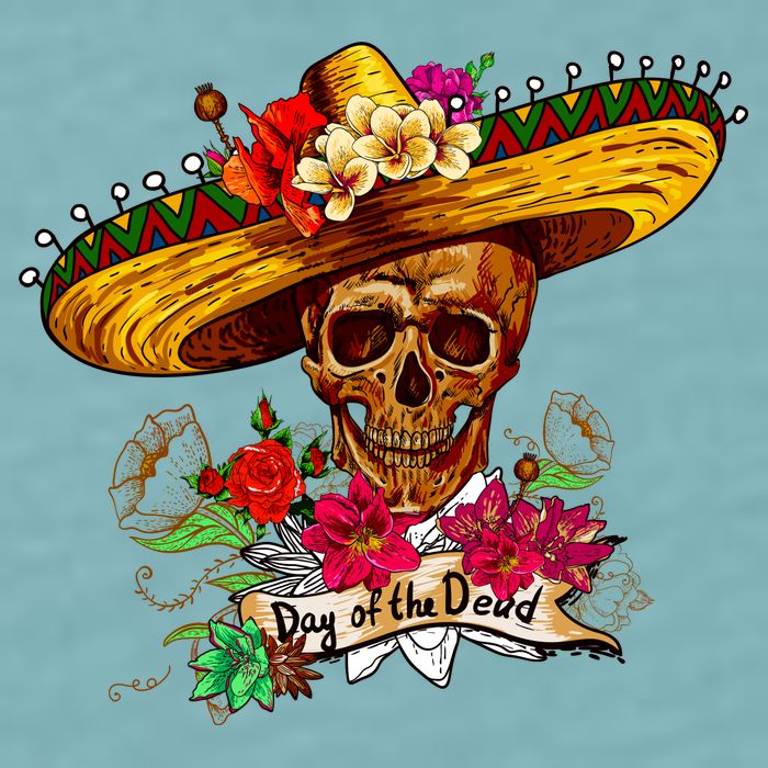Day of the Dead Sugar Skull Sombrero Sueded Cloud Jersey T-Shirt