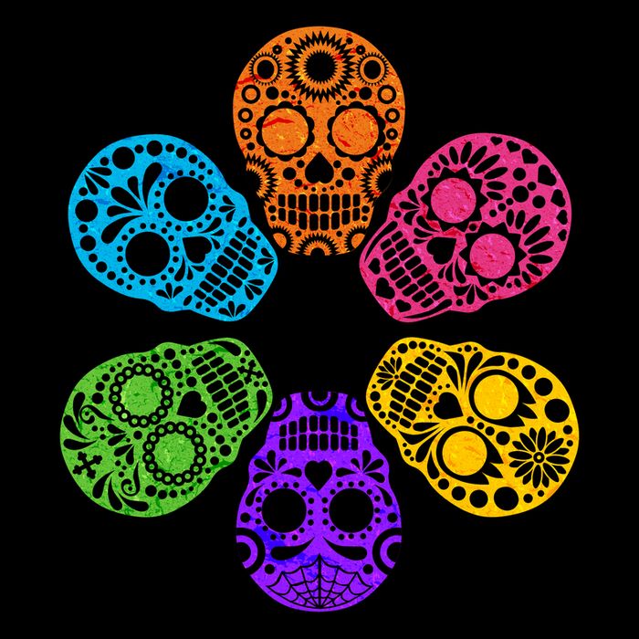 Day of the Dead Skulls 16oz Travel Tumbler