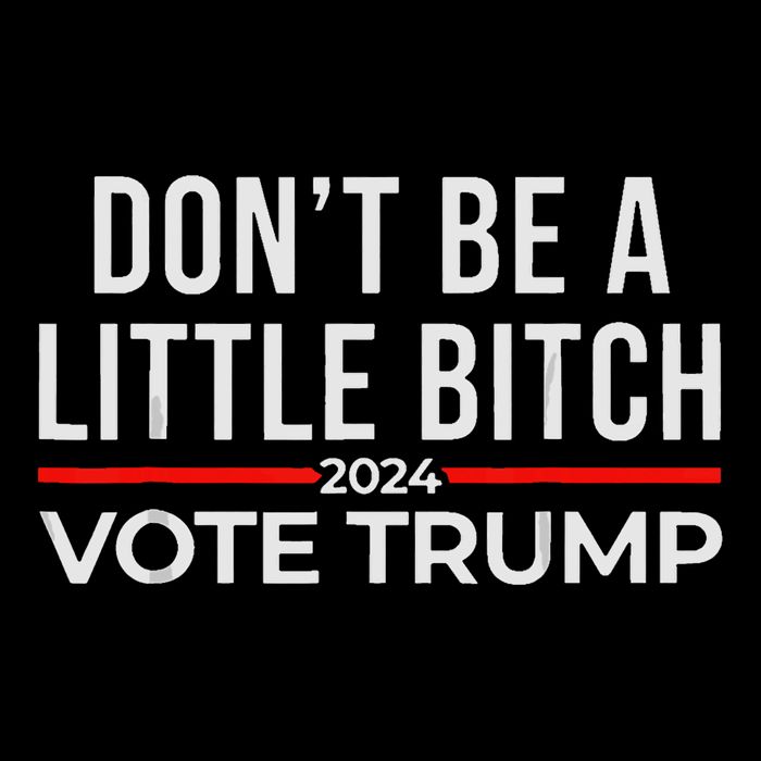 DonT Be A Little Bitch 2024 Vote Trump Wool Snapback Cap
