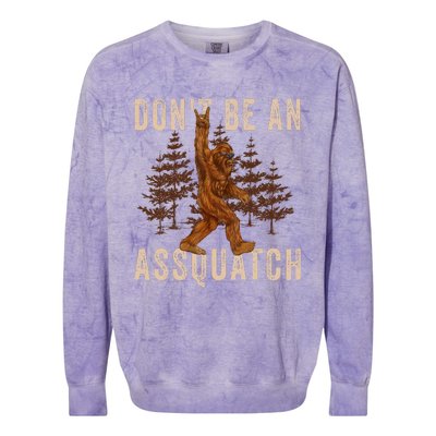 DonT Be An Assquatch Outdoor Sasquatch Funny Bigfoot Colorblast Crewneck Sweatshirt