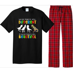 Different Beautiful Autism Awareness Puzzle Piece T Rex Pajama Set