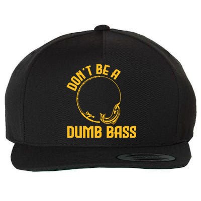 DonT Be A Dumb Bass Wool Snapback Cap